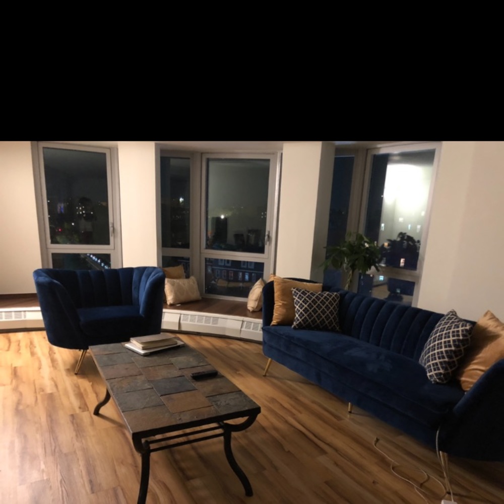 One month old brand new velvet two piece furniture